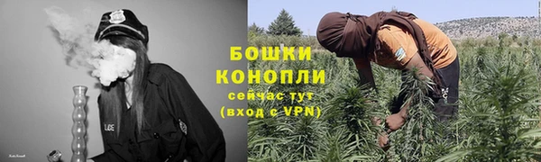 apvp Аркадак