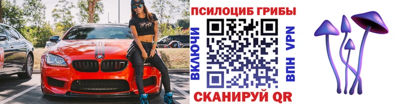 Псилоцибиновые грибы GOLDEN TEACHER  Геленджик 